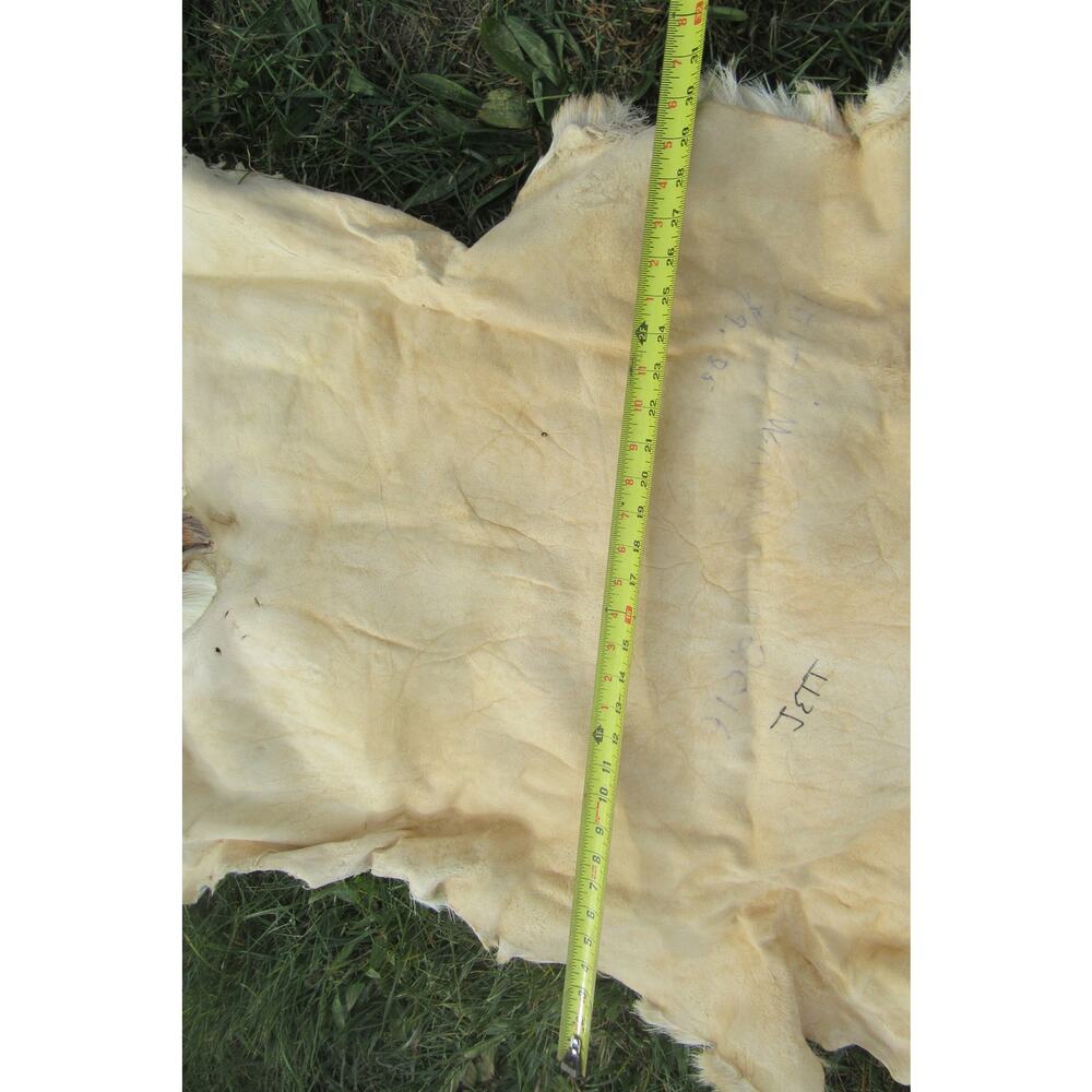 Whitetail Deer Skin Hair On Pelt Rug 40” x 30” Rustic Cabin Wall Hanging Or Rug - Picture 4 of 4